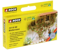 Noch Vijoklinės rožės