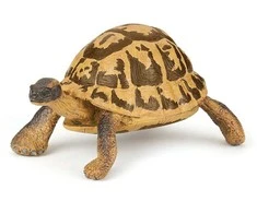 Papo figūrėlė Vėžlys