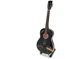Pink Rožinė Floyd tribute gitaros modelis