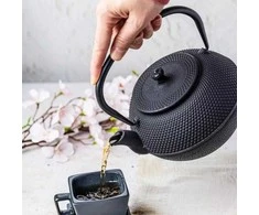 King Hoff Kinghoff KH-3332 ketaus infuzorius su nerūdijančio plieno filtru