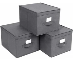 Leobert Organizatorius x3 - RFB03G