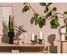 Iittala Nappula žvakidė 183mm rausva