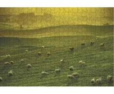 Dodo dėlionė Naujoji Zelandija (500 det.)
