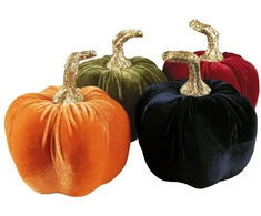 Blizgantis velvet moliūgas 13 cm – atsitiktinės spalvos