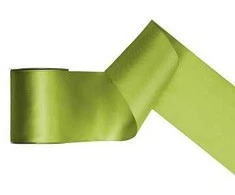 Party Deco Juostelė satino 100mm/25m salotinė
