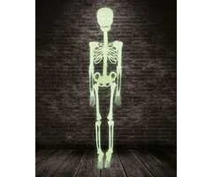 Kabantis fosforinis skeletas 150 cm