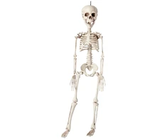 Kabantis pirato skeletas 40 cm