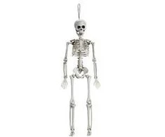 Kabantis skeletas 10*42cm