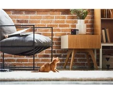 Petcube Play 2