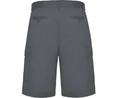 Roly Bermudų šortai su kišenėmis ARMOUR Švinas