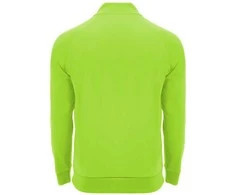 Roly Megztinis su reglano rankovėmis EPIRO Žalia fluoro