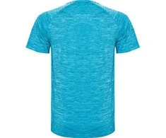 Roly Techniniai poliesterio marškiniai su reglano rankovėmis AUSTIN Heather turquoise