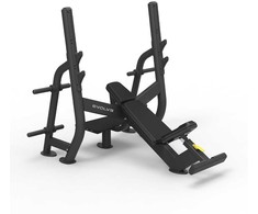 Evolve Prime Series štangos spaudimo suoliukas su įkalne (PR-210)