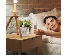 Relaxdays 3 dirbtinės puokštės vazonėliuose