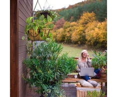 Relaxdays 3 pakabinamų krepšelių su kokoso pluošto įdėklu rinkinys