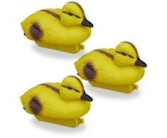 3 tvenkinio ančiukų rinkinys