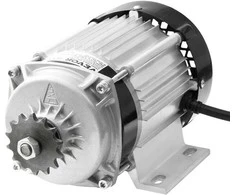 Vevor 750W bešepečių variklių rinkinys su valdikliu