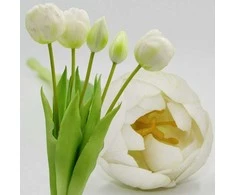 Saska Garden balta tulpinė bijūnė puokštė 39 cm