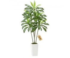 Vevor Dirbtinė Dracena su baltu vazonu