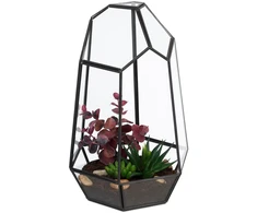 Relaxdays Geometrinis stiklinis terariumas 25 cm