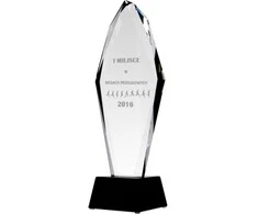 Graviruotas stiklinis trofėjus 31 cm