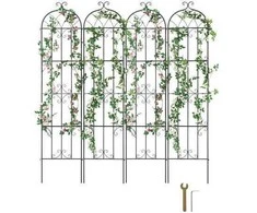 Vevor Metalinė sodo atrama vijokliniams augalams 220x51 cm