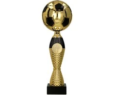 Metalinė futbolo taurė