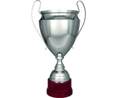 Metalinė sidabrinė taurė T-S