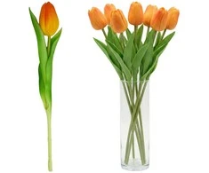 Saska Garden Oranžinis tulpės dekoratyvinis 31 cm