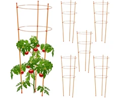 Kodustaar Oranžinių atramų rinkinys, 6 vnt., 76 cm