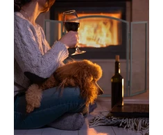 Relaxdays Plieninė židinio apsauga