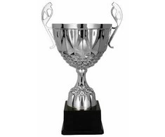 Sidabrinės metalinis trofėjus