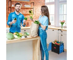 Relaxdays Sulankstomas pirkinių vežimėlis su dangčiu