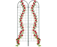 Relaxdays Tamsiai žalių grotelių rinkinys iš 2 vnt. 220 cm