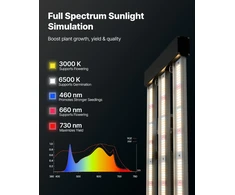 VEVOR 200W pilno spektro LED augalų lempa