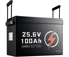 VEVOR 24V 100Ah LiFePO4 ličio baterija