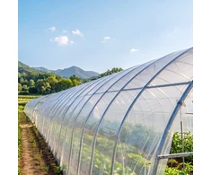 Šiltnamio plėvelė VEVOR YFGH-12ft100ft, 3,7x30,5 m