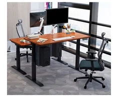 BSSD-L10-18/24 B Dual Motor Electric Sit-Stand Desk Frame, 3-Stage, juodas