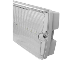 Emergency luminaire SAHER-3 DUO, LED, 3W, 300lm, 6400K, AC220-240V, IP65, 3h, dual-task