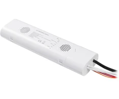 Emergency Module for LED Panels, AC220-240V, 24-48V, 3h, 6.4V 4000mAh, LiFePO4, TEST