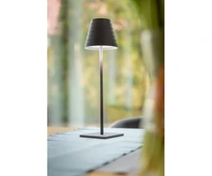'FIZZI Led table lamp, 2,5W, 200lm, DC 5V, 1A,4000 K, battery 4000 mAh,dimmable,juodas