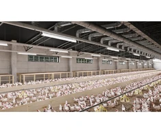 Hermetiškas šviestuvas FARM, LED, 50W, 7500lm, 4000K, AC220-240V, IP65, IK08, PMMA