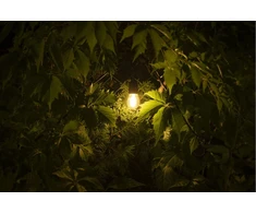 LED ŠVIESOS šaltinis, FILAMENTAS, S14, 4000K, E27, 0,5W, AC220-240V, 360°, 50lm, 5mA