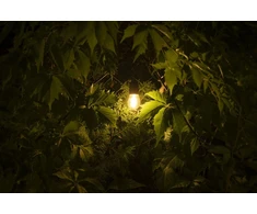 LED ŠVIESOS šaltinis, FILAMENTAS, S14, 4000K, E27, 0,5W, AC220-240V, 360°, 50lm, 5mA