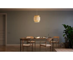 Lubinis šviestuvas ABRA, 6168, AC220-240V, 50/60Hz, 1*E27, maks. 40W, IP20, vid. 40 cm, kr