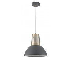 Pakabinamas šviestuvas Lubinis šviestuvas ARTEMIA L,2324,AC220-240V,50/60Hz,1*E27, maks.40W, IP20, skersmuo 34,5c