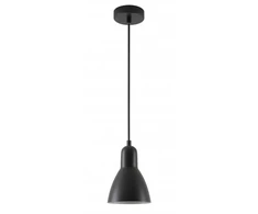Pakabinamas šviestuvas Lubinis šviestuvas Etore L,2072,AC220-240V,50/60Hz,1*E27, max.25W, IP20, viengubas, juodas