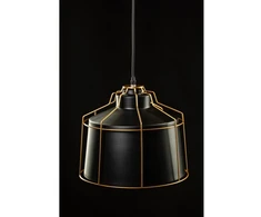 Pakabinamas šviestuvas Lubinis šviestuvas GOA ,3512, AC220-240V,50/60Hz,1*E27, IP20, skersmuo 32 CM, viengubas, j