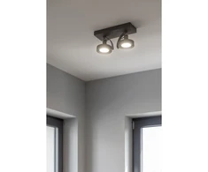 Lubinis šviestuvas Wally,4304,AC220-240V, 50/60 Hz, IP 20,2*Gu10,ES111, dvigubas, grafitin