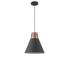 Pakabinamas šviestuvas Lubų šviestuvas GIANNI L,8105,AC220-240V,50/60Hz,1*E27,max.40W,IP20, skersmuo32cm,vienguba